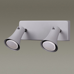 Спот Odeon Light Reanna 3825/2W