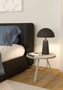 Настольная лампа декоративная Eglo Aranzola 900134