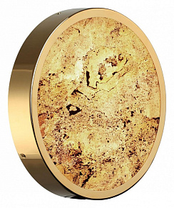 Накладной светильник Odeon Light Bergi 5079/24L