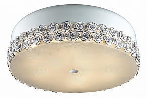 Накладной светильник Odeon Light Rosera 2756/9C