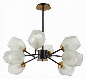 Люстра на штанге EVOLUCE Terramo SLE205102-08