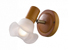 Спот Odeon Light Trum 1967/1W