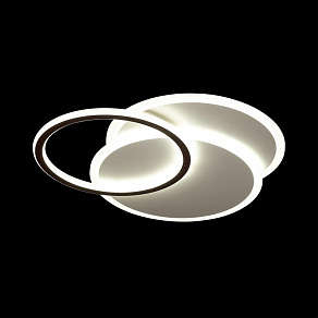 Накладной светильник Lumion Harmony 4502/85CL