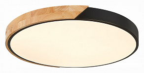 Накладной светильник EVOLUCE Festa SLE200942-01