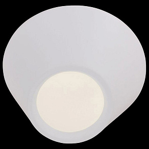 Накладной светильник ST-Luce Odierno SL956.052.01D