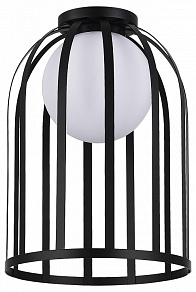 Накладной светильник ST-Luce Nordic SL6129.402.01