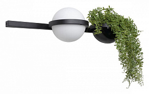 Бра Loft it Jardin 10121W/A