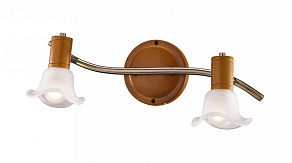 Спот Odeon Light Trum 1967/2W