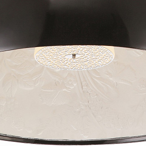 Подвесной светильник Arte Lamp Rome A4176SP-1BK