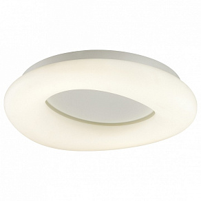 Накладной светильник Odeon Light Aura 4064/40CL