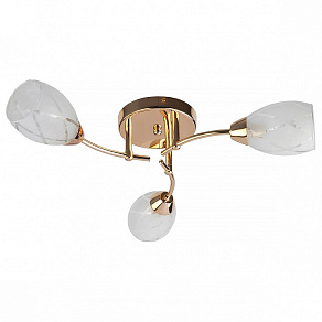 Потолочная люстра TopLight Lucy TL7120X-03FG