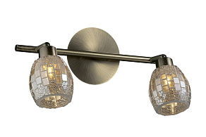 Спот Odeon Light Glosse 2166/2W