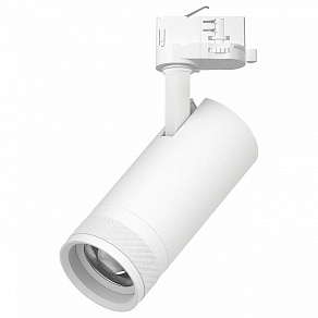 Светильник на штанге Lightstar Canno Pro C4206QT