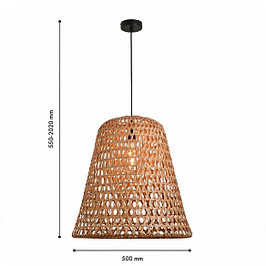 Подвесной светильник Favourite Recinto 4888-2P