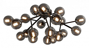 Потолочная люстра Maytoni Dallas MOD545CL-20B