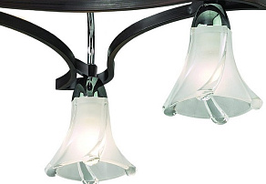 Потолочная люстра Odeon Light Iwo 2237/3С