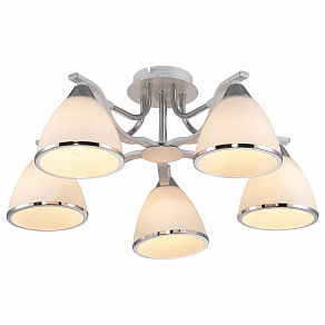Потолочная люстра TopLight Sheena TL3670X-05RY