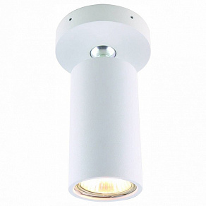 Спот Divinare Gavroche Volta 1968/03 PL-1