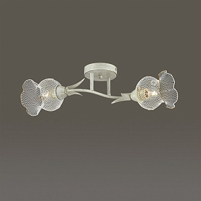 Светильник на штанге Lumion Rozetta 3108/2C