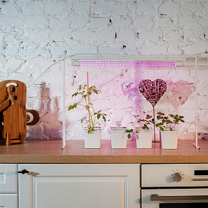 Лампа светодиодная Uniel  G13 9Вт K UL-00006697