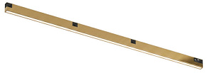 Накладной светильник Denkirs SHINE PRIME LINEAR DK4752-SB