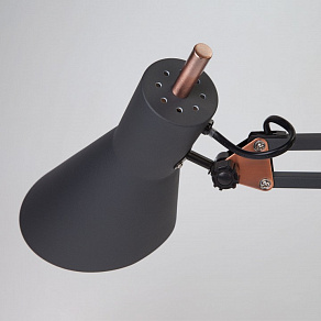 Настольная лампа офисная Eurosvet Norden 01032/1 черный