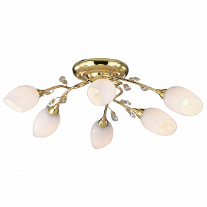 Потолочная люстра Odeon Light Fiera 1604/6