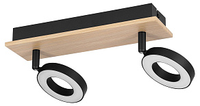 Спот Eglo RIELVES 901203