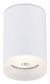 Накладной светильник SIMPLE STORY 2039 2039-1CLW