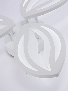Потолочная люстра Natali Kovaltseva SM LED LAMPS 81456