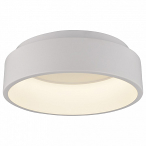 Накладной светильник Arte Lamp 624 A6245PL-1WH