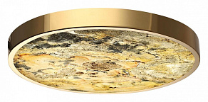 Накладной светильник Odeon Light Bergi 5079/40L