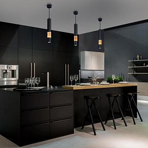 Подвесной светильник Elektrostandard DLN001 a045509