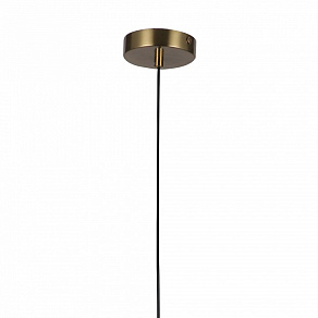 Подвесной светильник F-promo Roshni 3049-1P