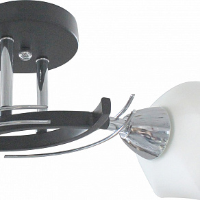 Светильник на штанге TopLight Lia TL7380X-02BC