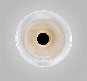 Накладной светильник Aployt Stusia APL.350.01.03