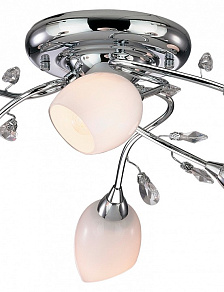 Потолочная люстра Odeon Light Fiera 1603/6