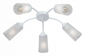 Потолочная люстра Vitaluce V3758 V3758-0/5PL