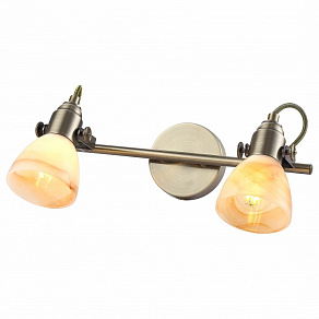 Спот Arte Lamp 9581 A9581AP-2AB