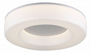 Накладной светильник ST-Luce Lordin SL886.502.01