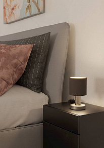 Настольная лампа декоративная Eglo MONTETTO 31842