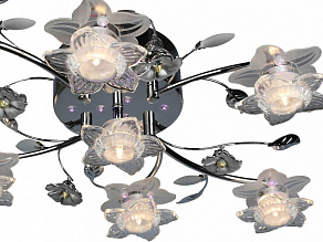 Потолочная люстра Omnilux OML-144 OML-14407-07