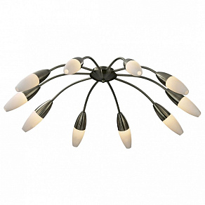 Потолочная люстра Odeon Light Chikko 2013/10C