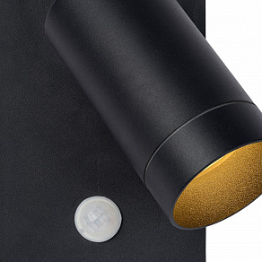 Светильник на штанге Lucide Taylor 09831/01/30