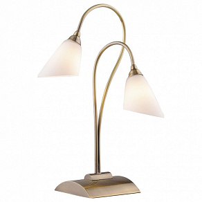 Настольная лампа декоративная Odeon Light Hedys 1375/2T