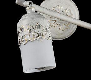 Спот Maytoni Renda ECO562-02-W