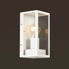 Накладной светильник Odeon Light Argos 4166/1W