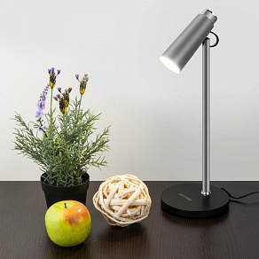 Настольная лампа офисная Elektrostandard Joel TL70190