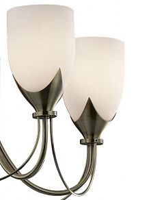 Подвесная люстра Odeon Light Risto 2079/5