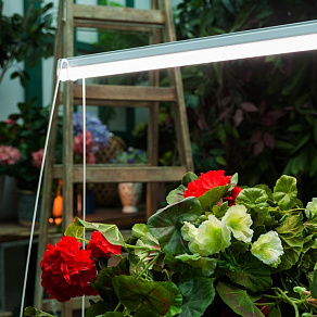 Накладной светильник Uniel ULI-P1 UL-00002259